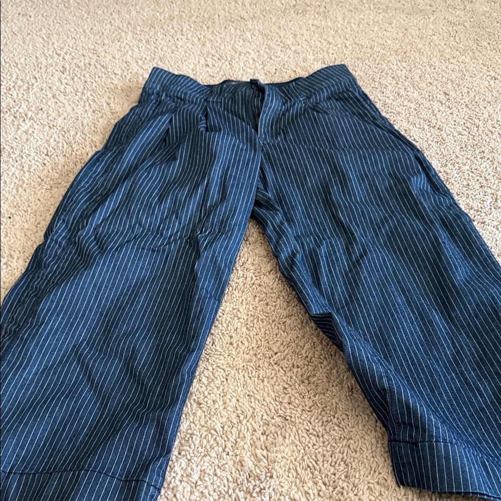 Democracy Navy Pinstripe Cropped Pants